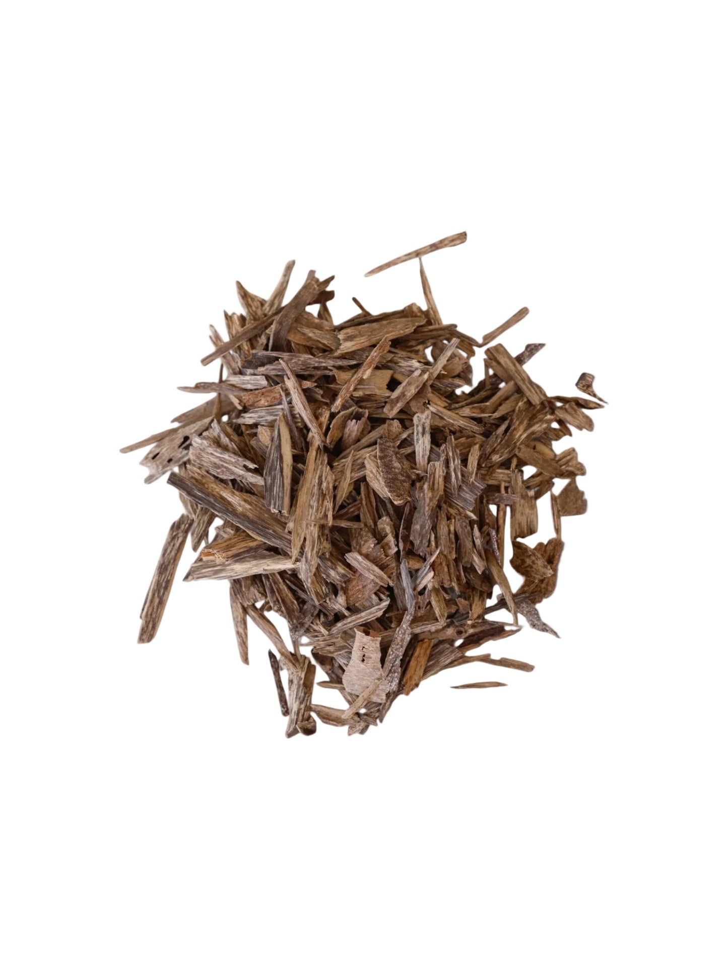 عود سيسور العيد