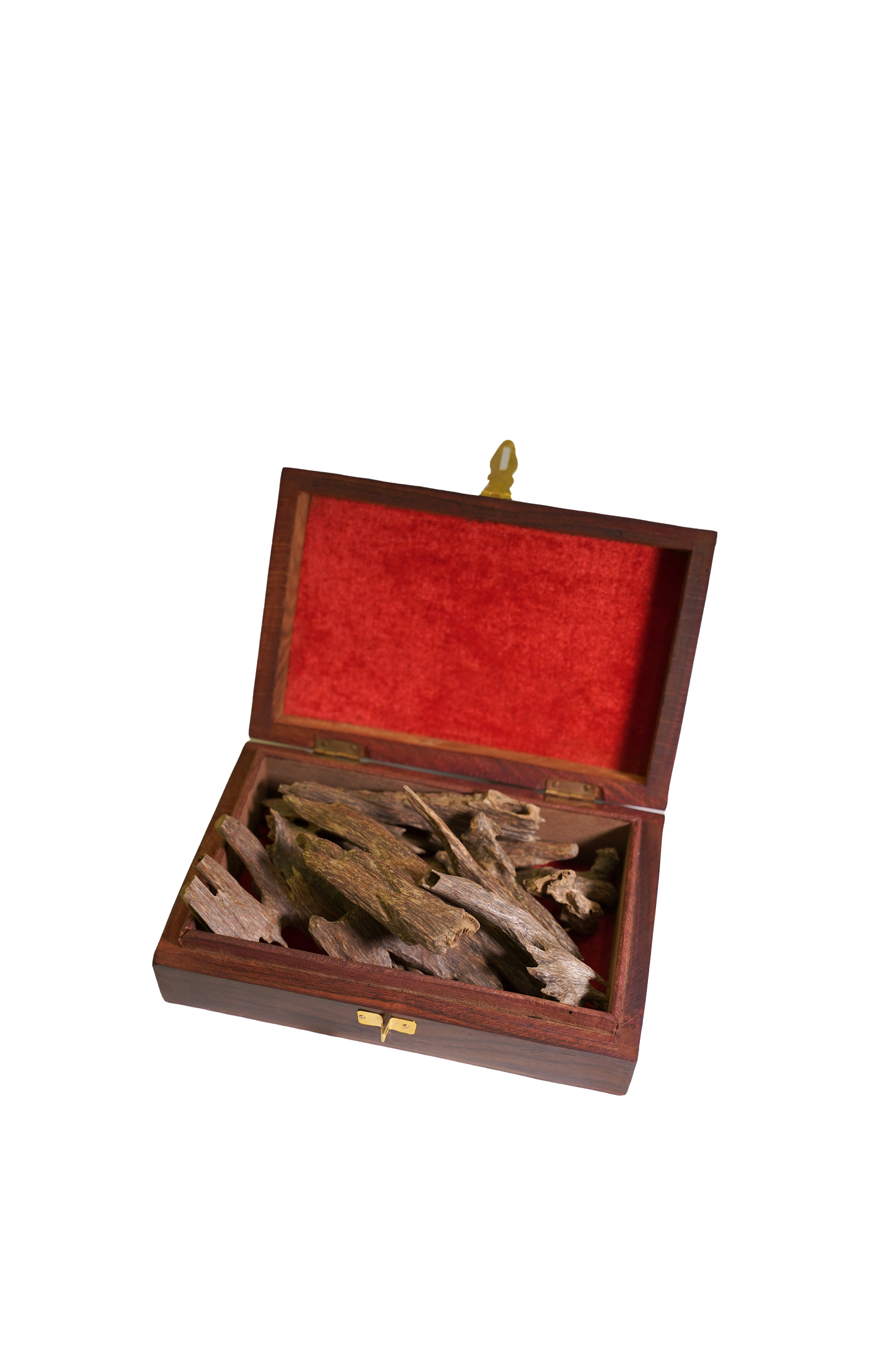 عود هندي الصعب ( الرئاسة)