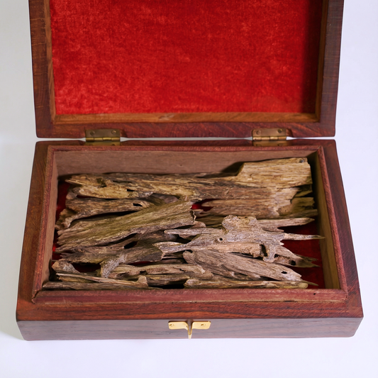 عود هندي جامبو السمو